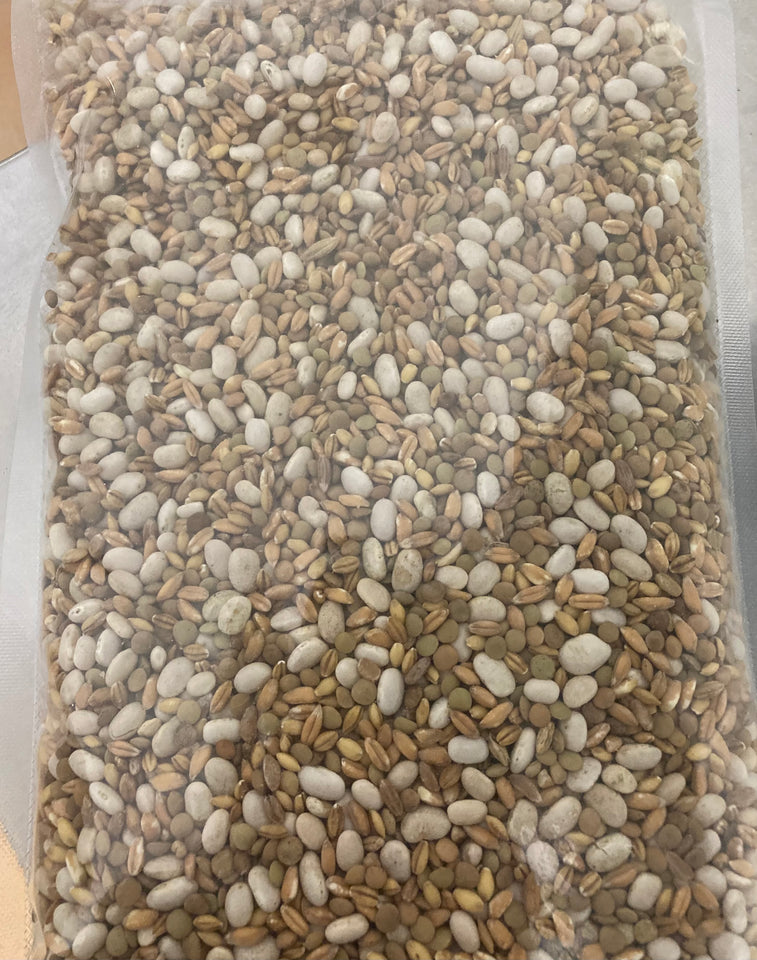 LEGUMI E CEREALI Biologici formato famiglia conf. da 1 KG